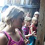 P1120475.JPG
