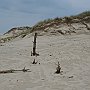 IMG_0161